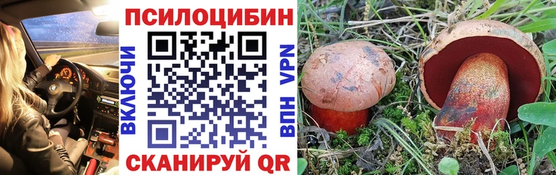Псилоцибиновые грибы GOLDEN TEACHER Грайворон